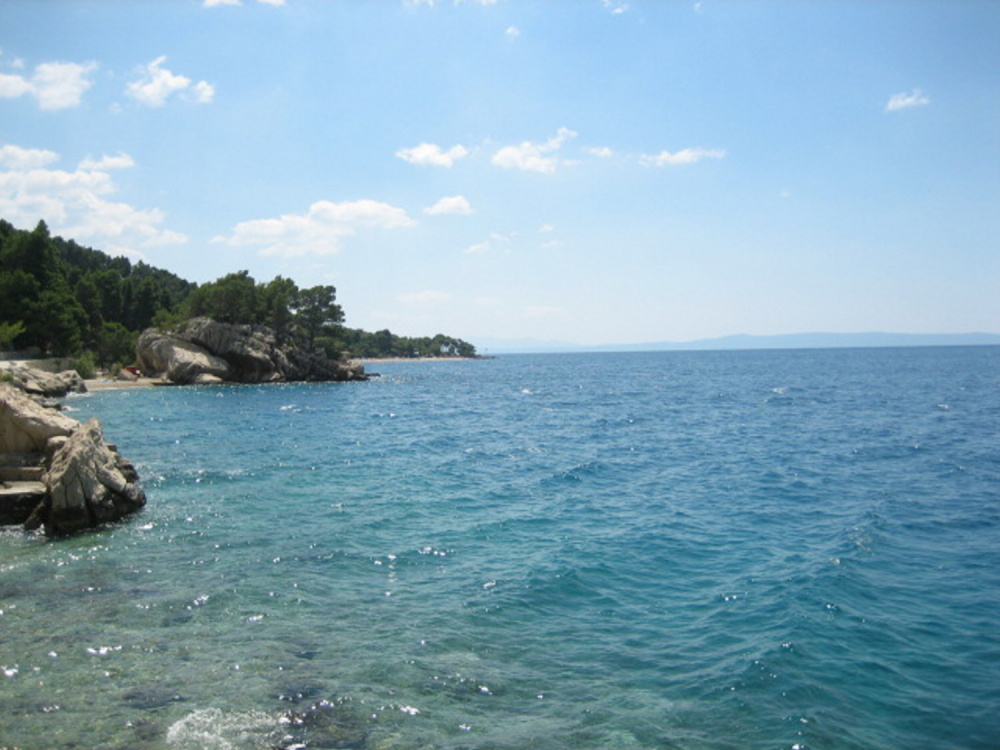 STB_3588.jpg